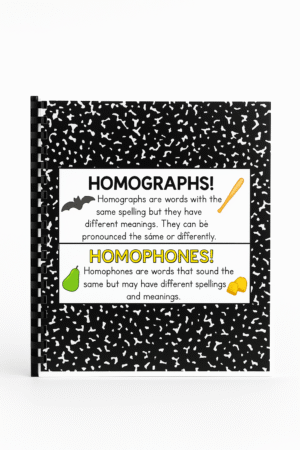 Homographs & Homophones